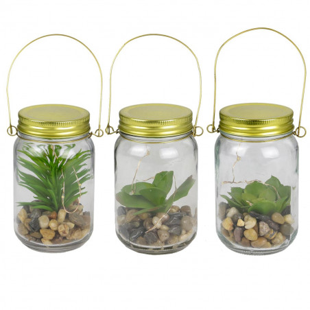 Mason jar succulente lumineuse