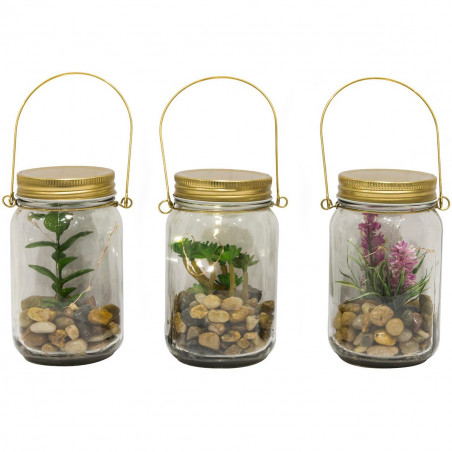 Mason jar succulente lumineuse