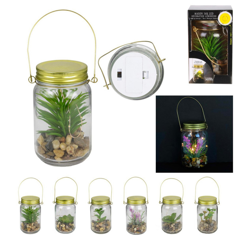 Mason jar succulente lumineuse