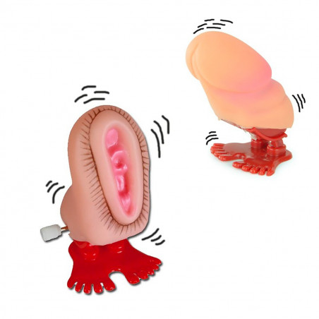 Course de zizi et foufoune