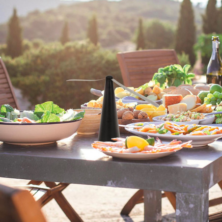 Chasse-mouches automatique