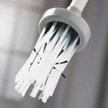 Spider Catcher - Attrape-araignée - MyCrazyStuff