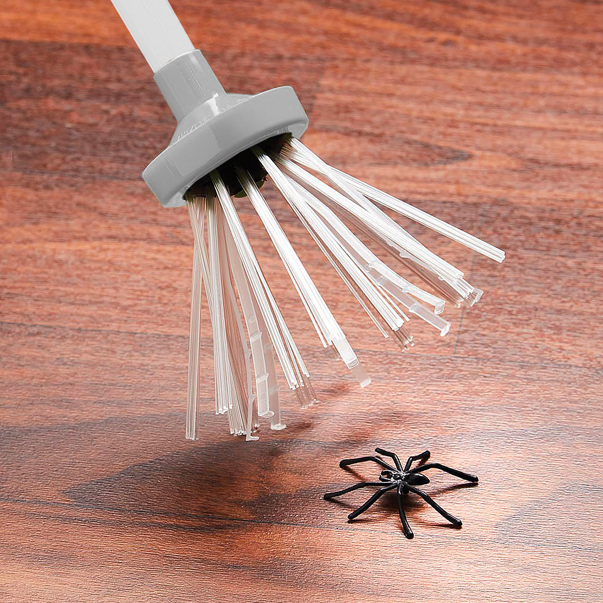 Attrape-insectes en aluminium clip pour araignée cafard portatif
