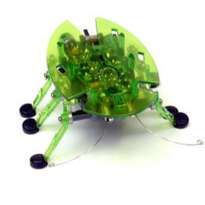 Vente Hexbug Bravo, l'insecte robotique