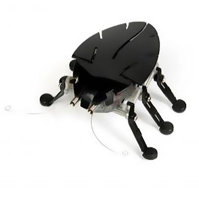 Photo Hexbug Delta, l'insecte robotique