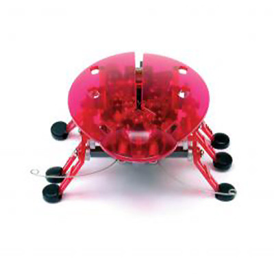 Vente Hexbug Echo, l'insecte robotique