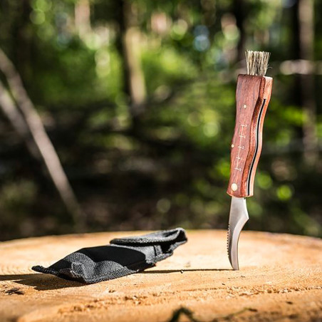 Couteau à champignon et son étui