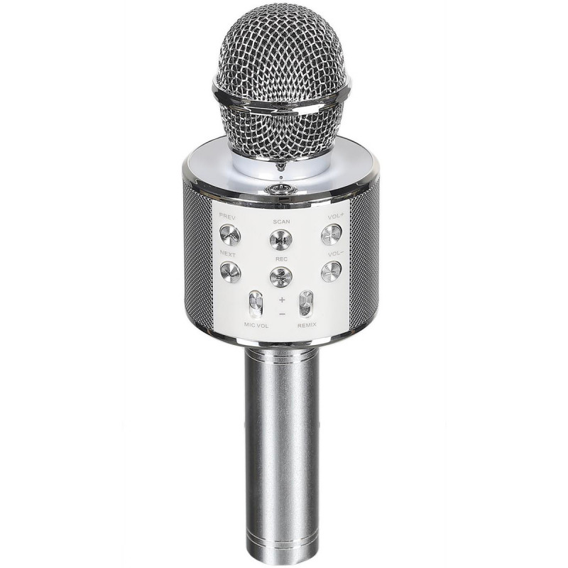 Micro karaoké haut-parleur bluetooth