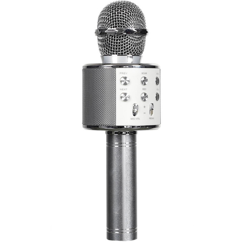 Micro karaoké haut-parleur bluetooth