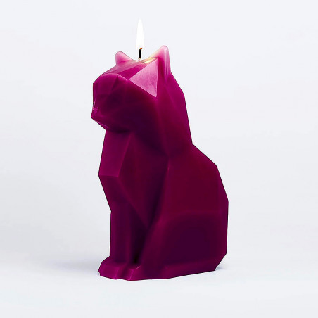 Bougie chat squelette PyroPet