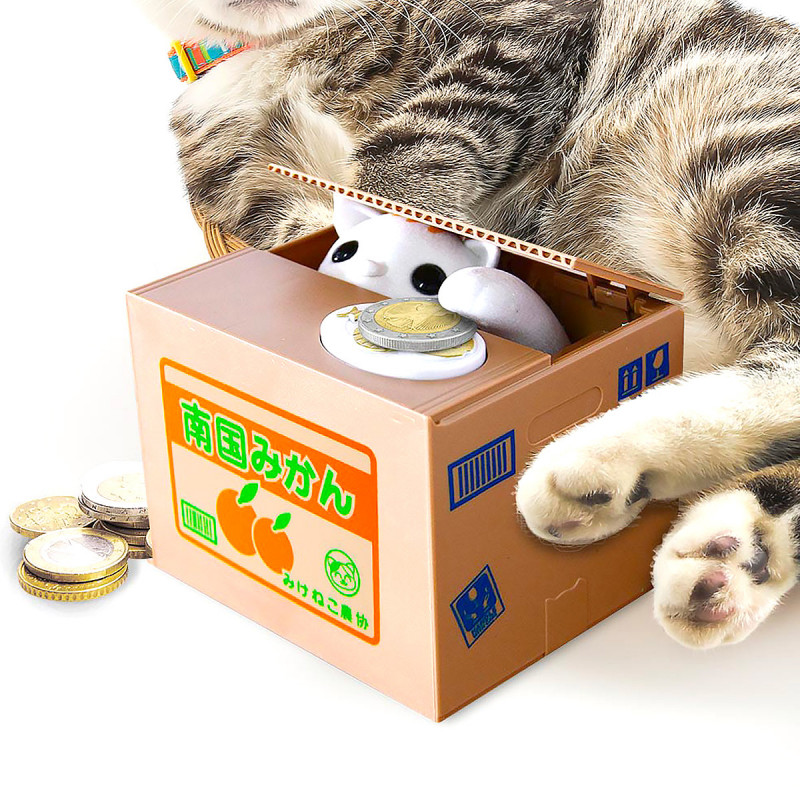 Cadeau pas cher : Marque-page chat curieux - 7,90 €