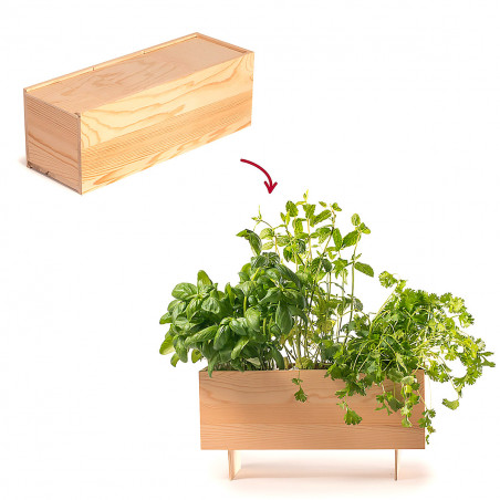 Coffret à bouteille transformable en jardinière potager