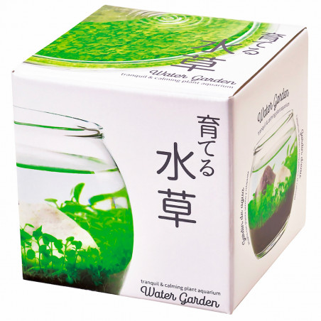 Water garden, jardin aquatique