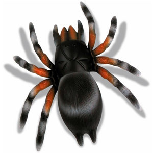 Vente Mygale collante