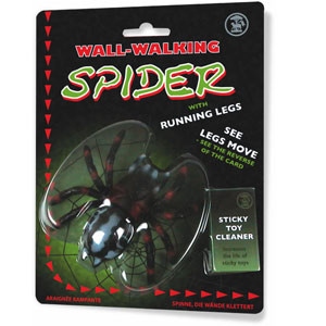 Photo Mygale collante