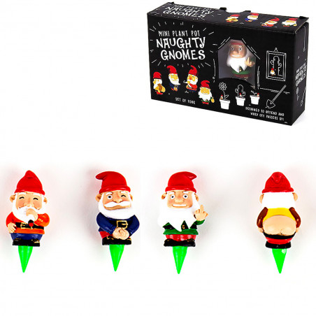 Mini nains de jardin grossiers pour plantes