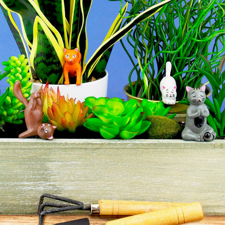 Chats Yoga à piquer pour plantes d'intérieur