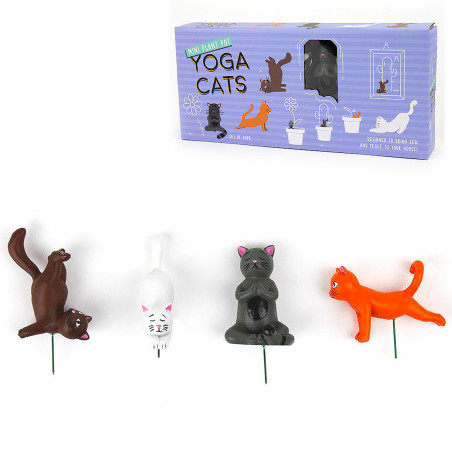 Chats Yoga à piquer pour plantes d'intérieur