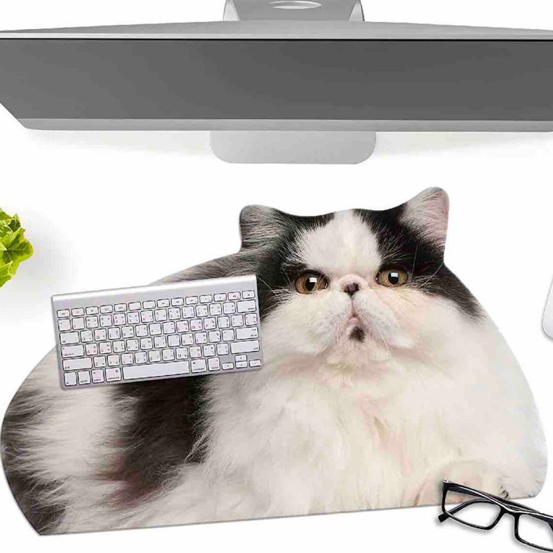 Sous-main chat