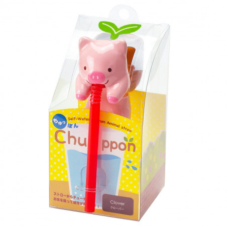 Chuppon Cochon trèfle à faire pousser
