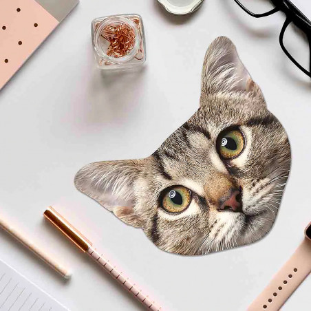 Lot de 3 Microfibres pour lunettes animaux