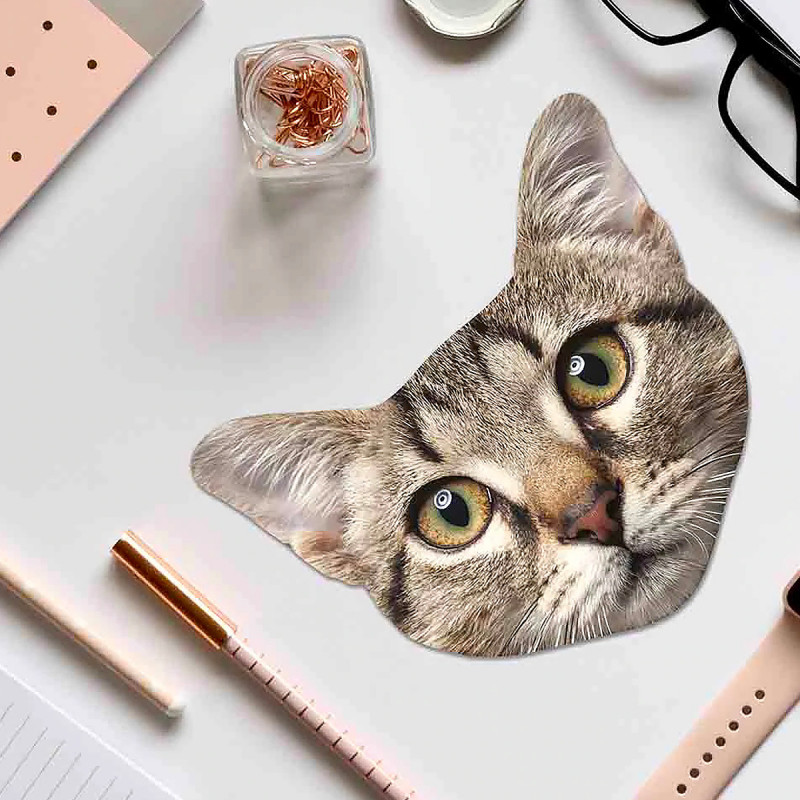 Lot de 3 Microfibres pour lunettes animaux