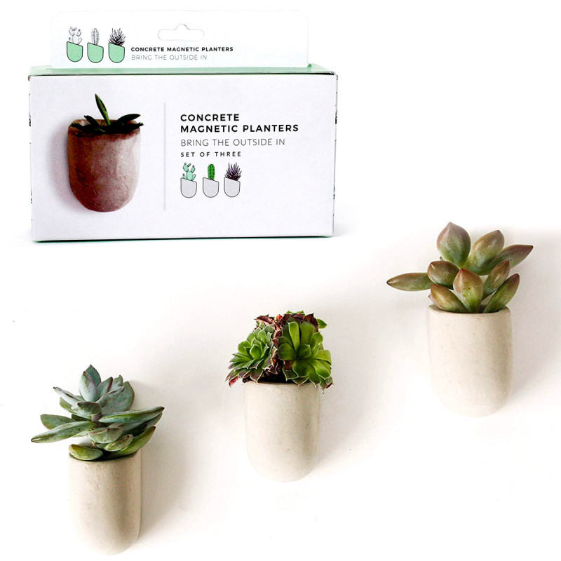 Mini jardinières magnétiques en béton