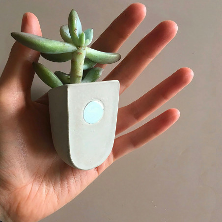 Mini jardinières magnétiques en béton