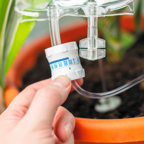Perfusion H2O pour plantes