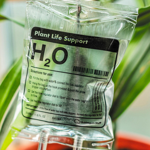 Perfusion H2O pour plantes