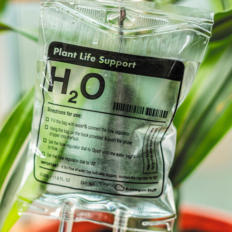 Perfusion H2O pour plantes