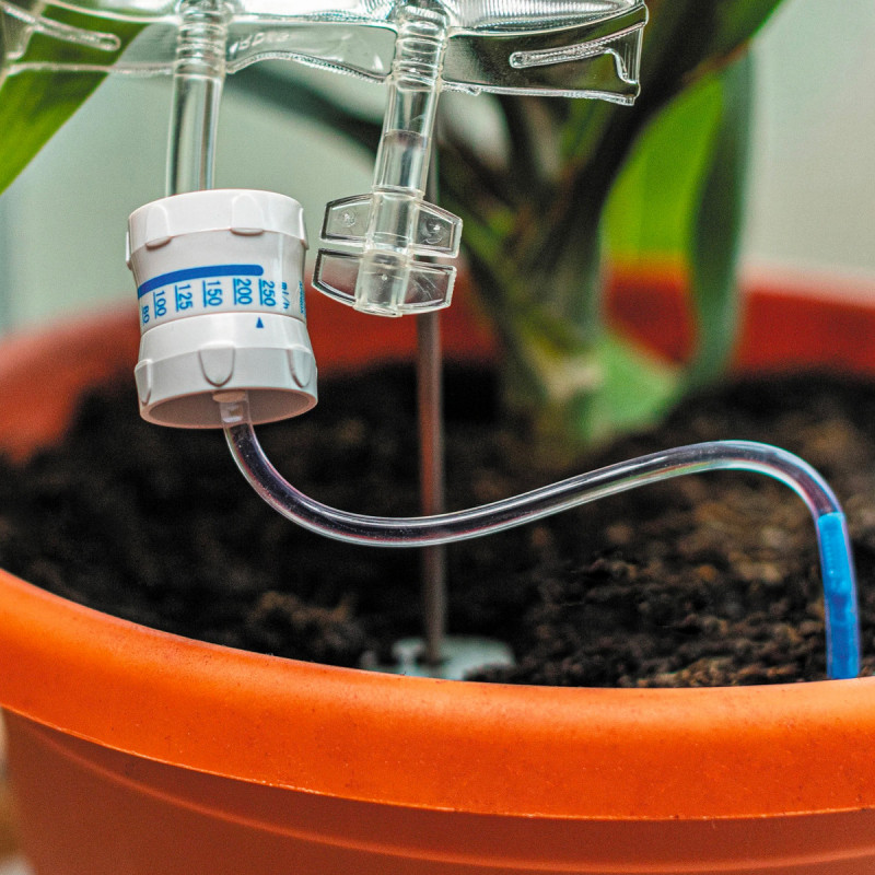 Perfusion H2O pour plantes