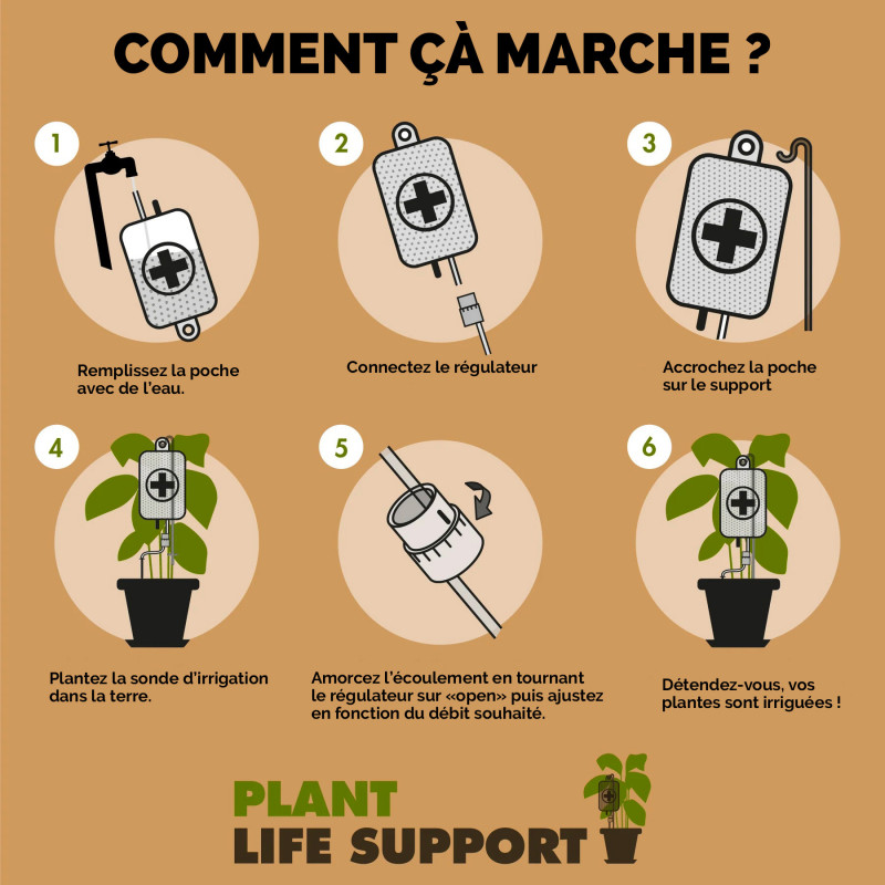 Perfusion H2O pour plantes