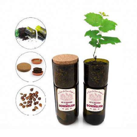 Kit à pousser sommelier