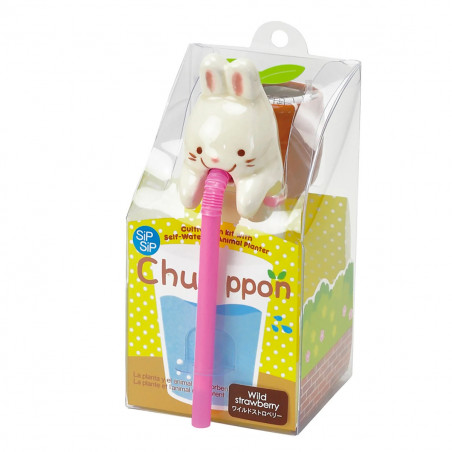 Chuppon Lapin fraises sauvages à faire pousser