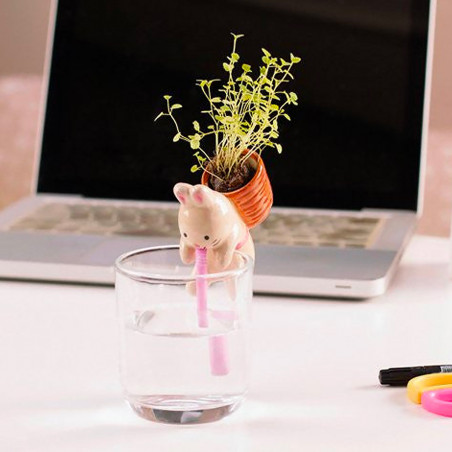 Chuppon Lapin fraises sauvages à faire pousser