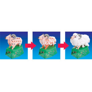 Photo Mouton magique