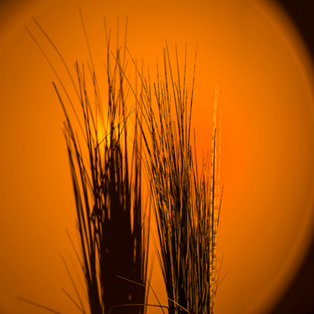 Lampe Sunset coucher de soleil