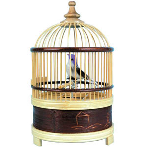 Vente Oiseau chanteur mécanique