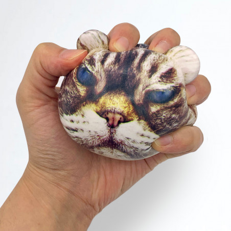 Lot de 2 balles anti-stress félins