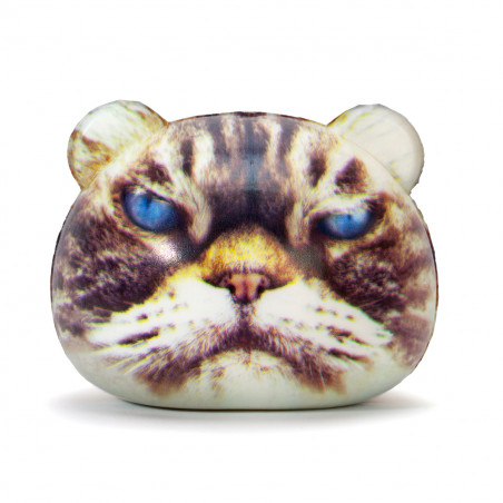 Lot de 2 balles anti-stress félins