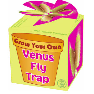 Vente Plante carnivore