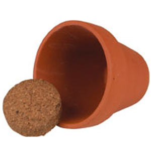 Photo Plante carnivore