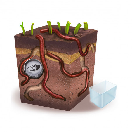 Terrarium à vers de terre