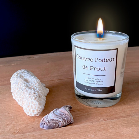 Bougie couvre l'odeur de prout - Mycrazystuff.com