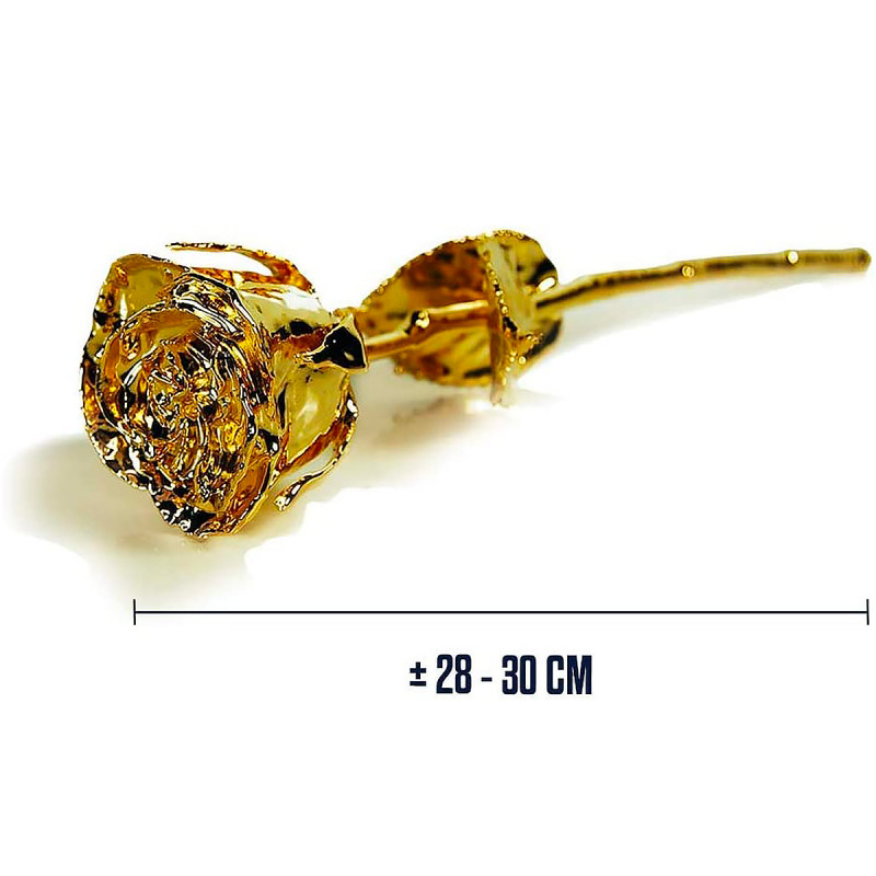 Rose éternelle or 24 carats