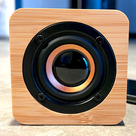 Enceinte en bambou bluetooth +Bass