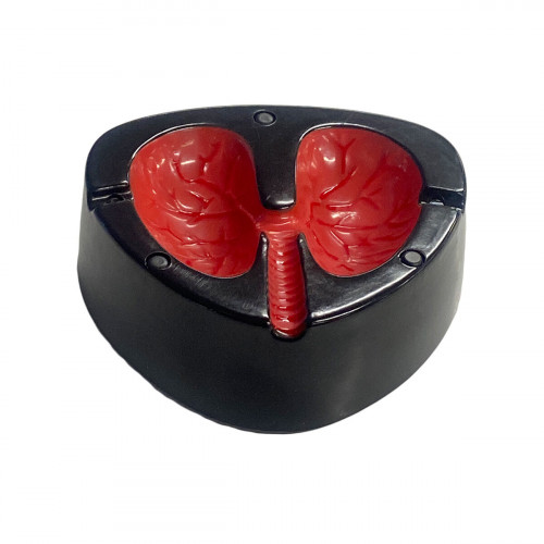Cendrier Tousseur – Cendrier Humoristique en Forme de Poumons - Mycrazystuff