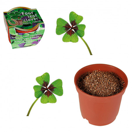 Trèfle porte-bonheur