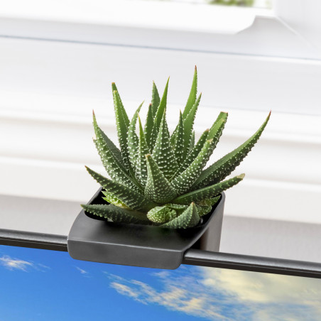 Trois pots de rangement pour écran d'ordinateur